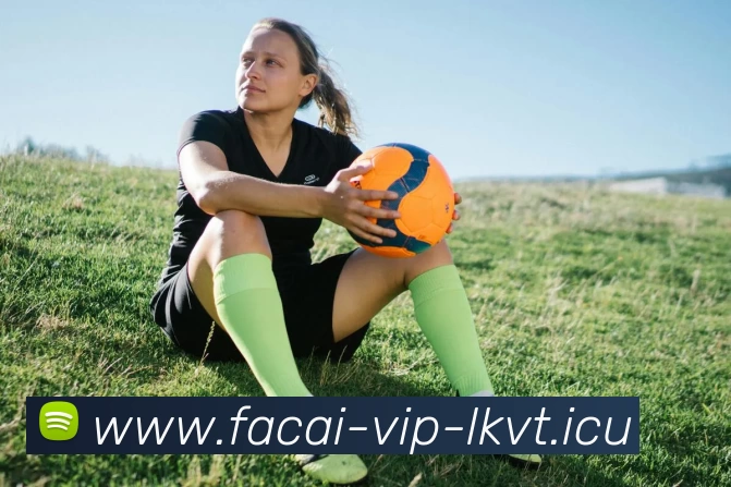 星空体育注册平台生态图